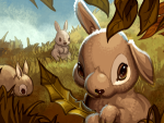 卷轴scrolls卡牌Bunny翻译资料