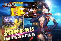 弯腰捡肥皂 天拓游戏《三国名将》合体技无敌
