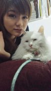 狐狸妈也爱猫，低调参加《喵又物语》选美夺魁