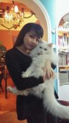 狐狸妈也爱猫，低调参加《喵又物语》选美夺魁