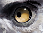  卷轴scrolls卡牌Eye of Eagle翻译资料 