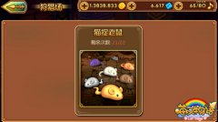 《喵又物语》大猜想 百变喵星人