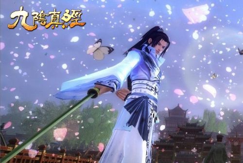 九阴真经