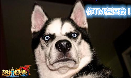 甘当铲屎官 《超神联盟》神兽有点猛