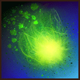 细读武侠世界的蜀中唐门技能