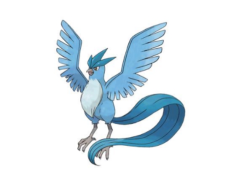 《口袋妖怪复刻》急冻鸟捕捉攻略