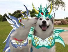 基情四射 玩家恶搞《圣斗士星矢》手游缘系统