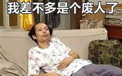 这才是国人玩《宠物小精灵》的正确姿势