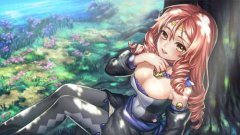 绅士向！玩家调侃姬魔若出动漫定为里番！