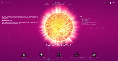 仰望天空 《那兔》玩家赠属于亲们的种花星