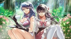 知道这些，你将会对《姬魔恋战纪》的剧情更好