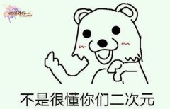 《神明秩序》之二次元非正经报告